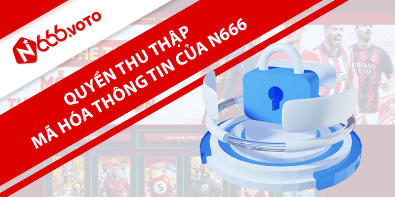 Quyền thu thập và mã hóa thông tin của N666