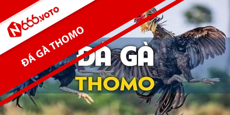 Đá Gà Thomo