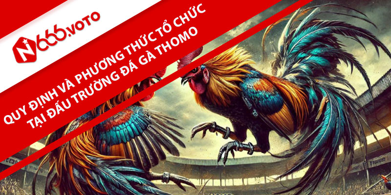 Quy định và phương thức tổ chức tại đấu trường đá gà Thomo